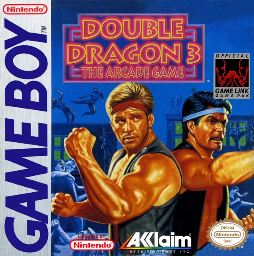 Double Dragon 3: The Arcade Game (1993) cover art