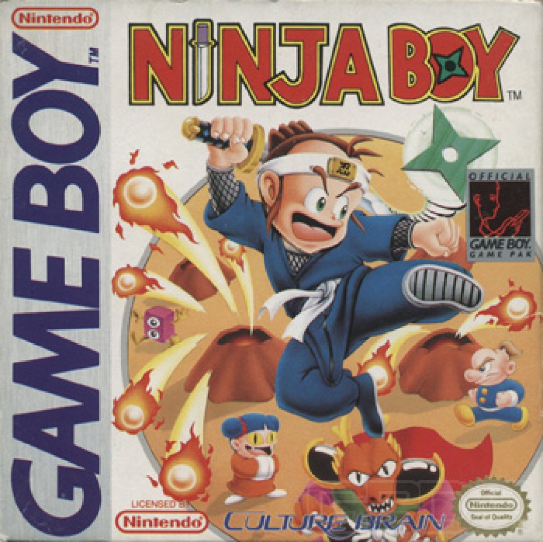 Ninja Boy (1990) cover art