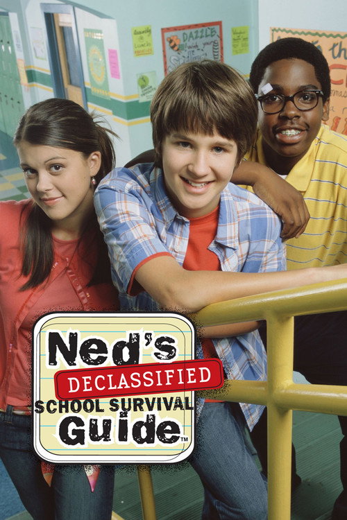 Ned's Declassified School Survival Guide (2004) poster