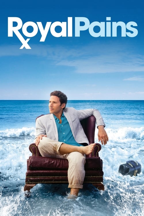 Royal Pains (2009) poster