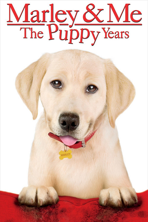 Marley &amp; Me: The Puppy Years (2011) poster