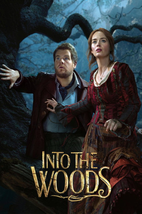 Into the Woods (2014) poster