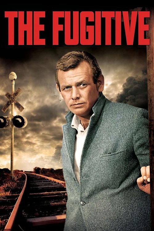 The Fugitive (1963) poster