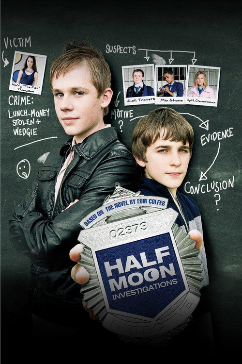 Half Moon Investigations (2009) poster