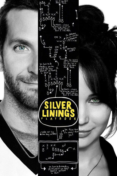 Silver Linings Playbook (2012) poster