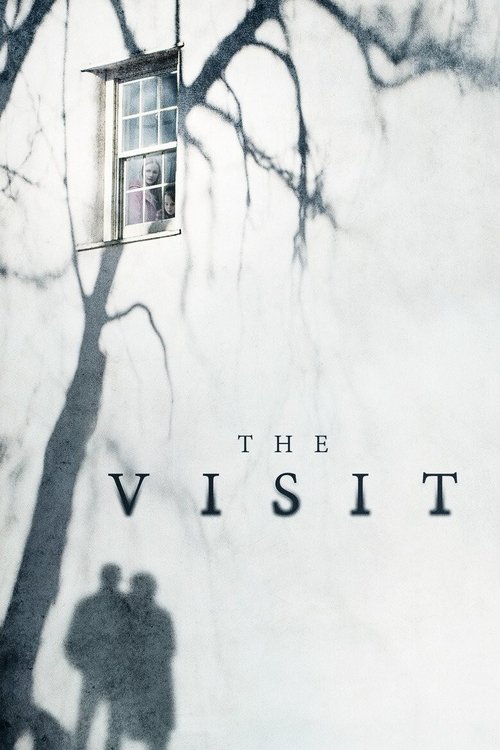 The Visit (2015) poster