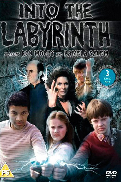Into the Labyrinth (1981) poster