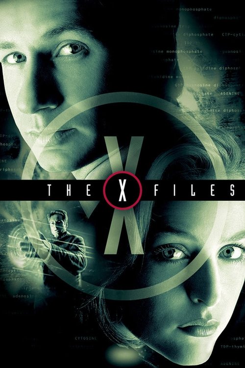 The X-Files (1993) poster