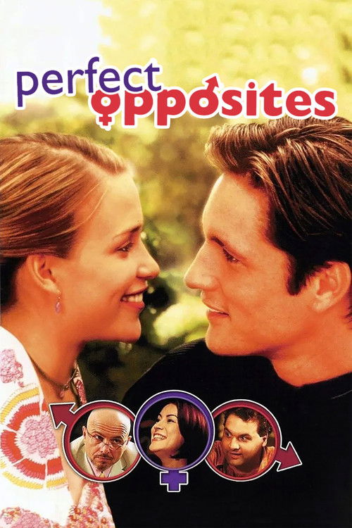 Perfect Opposites (2004) poster