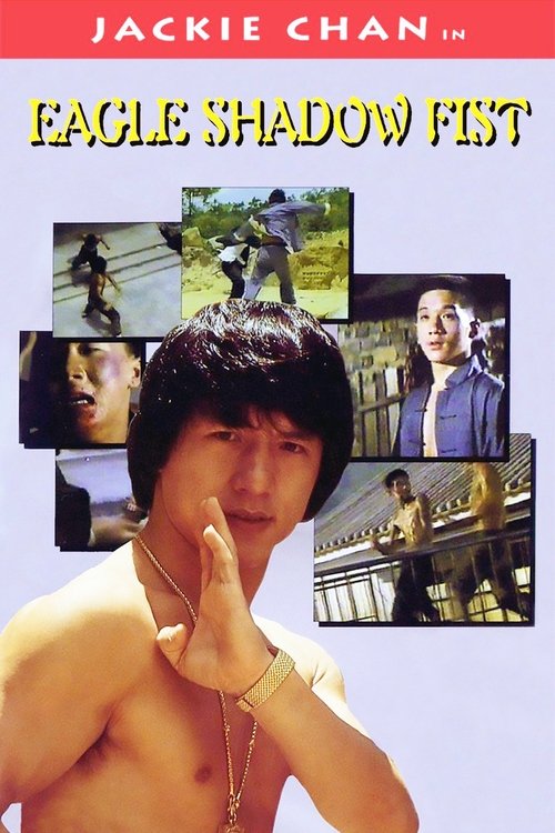 Eagle Shadow Fist (1973) poster