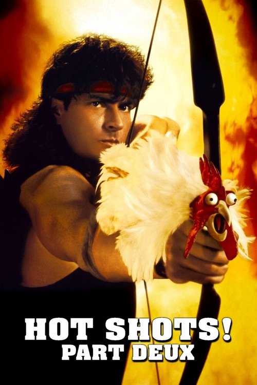 Hot Shots! Part Deux (1993) poster