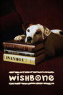 Wishbone (1995) poster