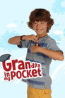 Grandpa in My Pocket (2009) poster