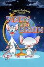 Pinky and the Brain (1995) poster