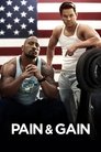 Pain & Gain (2013) poster
