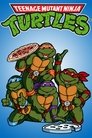Teenage Mutant Ninja Turtles (1987) poster