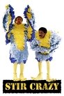 Stir Crazy (1980) poster