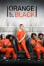 Orange Is the New Black (2013) poster