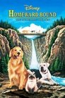 Homeward Bound: The Incredible Journey (1993) poster