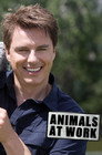 Animals at Work (2009) poster