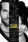 Silver Linings Playbook (2012) poster