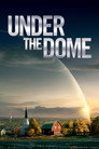 Under the Dome (2013) poster