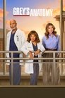 Grey's Anatomy (2005) poster