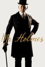 Mr. Holmes (2015) poster