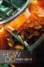 How Do They Do It? (2006) poster