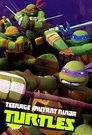 Teenage Mutant Ninja Turtles (2012) poster