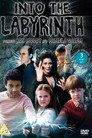 Into the Labyrinth (1981) poster