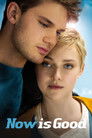 Now Is Good (2012) poster