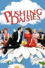 Pushing Daisies (2007) poster