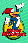 The New Woody Woodpecker Show (1999) poster