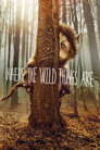Where the Wild Things Are (2009) poster
