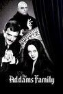 The Addams Family (1964) poster