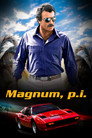 Magnum, P.I. (1980) poster