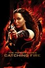 The Hunger Games: Catching Fire (2013) poster