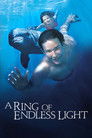 A Ring of Endless Light (2002) poster