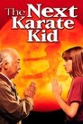 The Next Karate Kid (1994) poster