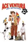 Ace Ventura Jr: Pet Detective (2009) poster