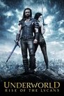 Underworld: Rise of the Lycans (2009) poster